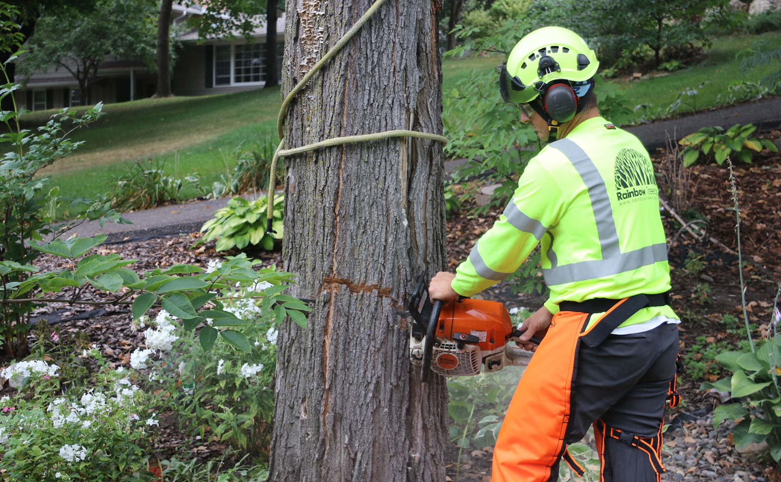 commercial tree services in auburn