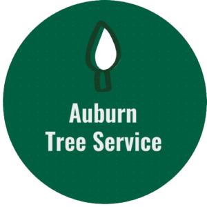 auburn tree service